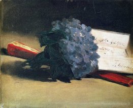 Bouquet de violettes