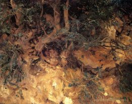 Valdemosa, Majorque Thardtles et herbage sur une colline