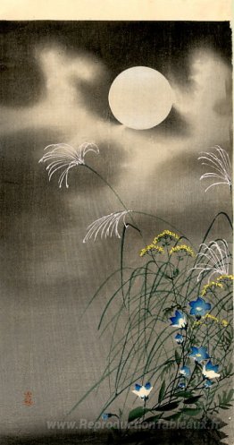 Lune et fleurs bleues