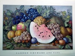 Garden verger et vigne