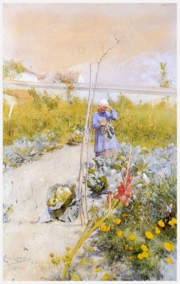 Dans le potager