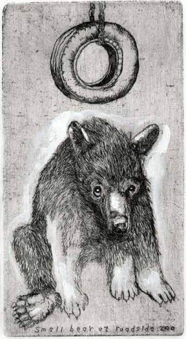 Petit ours