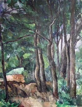 Des arbres