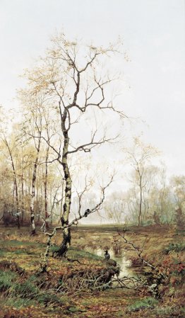 En forêt après le printemps