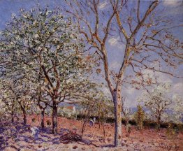 Prune et noix au printemps