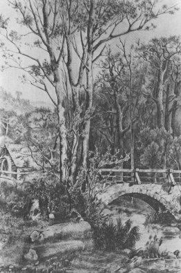 Moulin près du ruisseau forestier