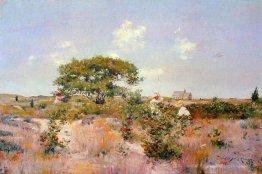 Paysage de shinnecock