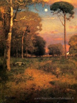 Early Moonrise, Floride