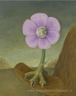 Chimère
