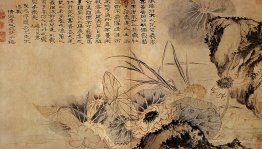Sur l'étang de Lotus