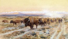 Le Bison Trail