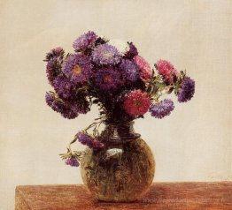 Reines marguerites