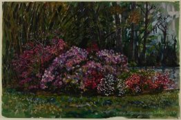 Alicia's Azaleas sur la rivière St. Mary