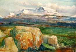 Scène de Fljótsdalsherað dans l'est de l'Islande
