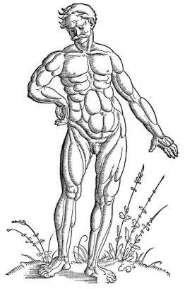 Homme musclé debout
