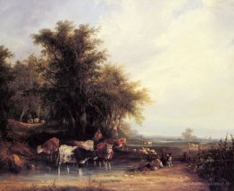 Près de la nouvelle forêt