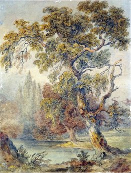 Arbres et étang