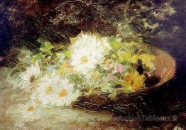Maggio Lillies
