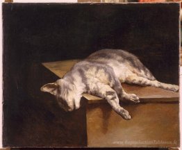 Chat mort