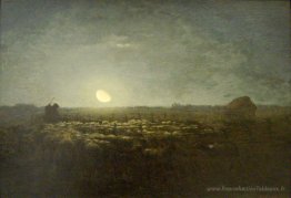La stylo mouton, clair de lune