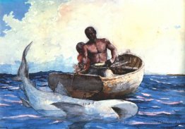 Pêche au requin