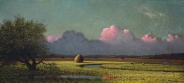 La luce del sole e ombra: The Newbury Paludi