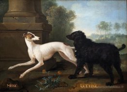 Missy et Luttine