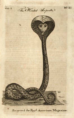 Serpent à capuche