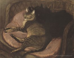 Chats sur le canapé