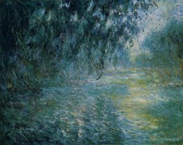 Matin sur la seine sous la pluie