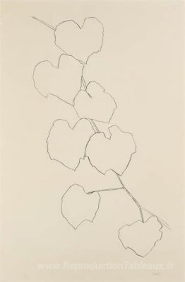 Feuilles de raisin II