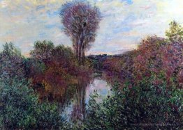 Petite branche de la seine