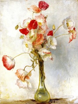 Coquelicots