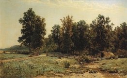 Au bord d'une forêt de chêne