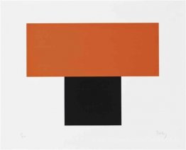 Orange rouge sur le noir