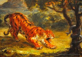 Tigre et serpent