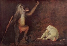 Pavian et albinos Makake