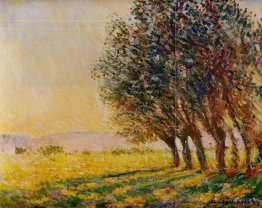 Saules au coucher du soleil
