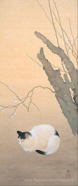 Chat et prune fleuris
