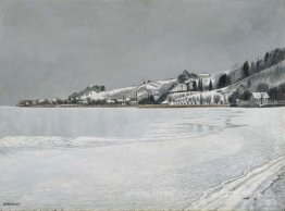 Graue Winterlandschaft bei Mannenbach