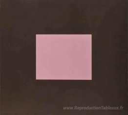 Couleur rose avec marron