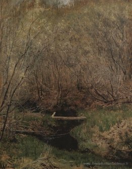Printemps dans la forêt
