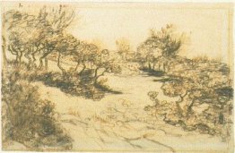 Colline avec des buissons