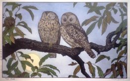 Deux hiboux