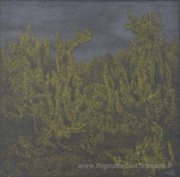 Farnlandschaft