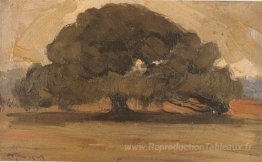 Paysage avec du pin