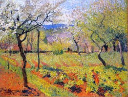 Jardin à fleurs au printemps