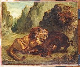 Lion et sanglier