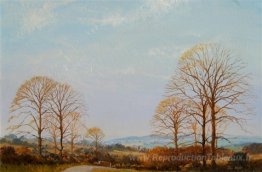 Arbres d'automne