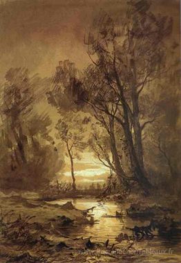 Ruisseau dans une forêt